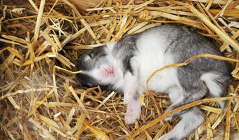 4775 S 50th Rd, Aldrich, MO 65601