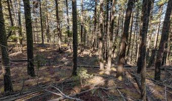 Back Basin Rd lot 145, Angel Fire, NM 87710