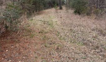 County Road 29, Alberta, AL 36720
