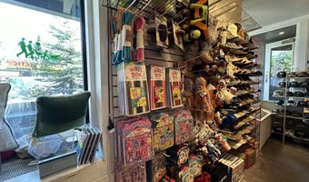 635 E Cooper Ave, Aspen, CO 81611