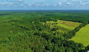 22880 OLD WEEKLY ROAD Lot 40 Acres, Bay Minette, AL 36507