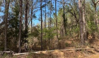 Conecuh River Church Rd, Andalusia, AL 36420