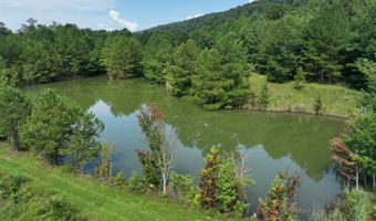 3941 SHOAL CREEK Rd, Ashville, AL 35953