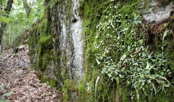Whiskey Creek Lane, Batesville, AR 72501