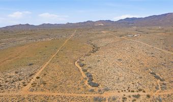 308-22 451 Palm Dr, Chloride, AZ 86431