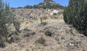 Round Mountain Rd 40 acres, Bent, NM 88314