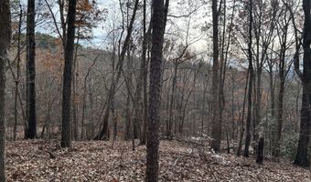 Highway 105, Baldwin, GA 30511
