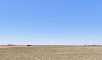 FM 2130, Anton, TX 79313