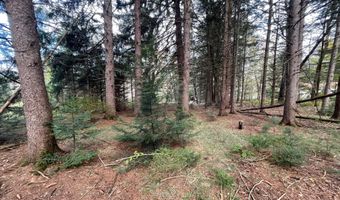 Henning Road, Albrightsville, PA 18210