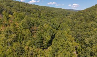 997 Miller Hollow Rd, Bean Station, TN 37708