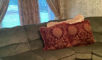 321 Luckey Rd, Bishopville, SC 29010