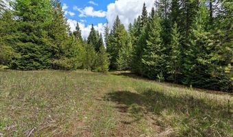 Nna Mesa Drive, Careywood, ID 83809