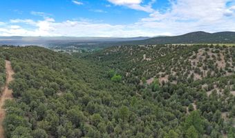 Hondo Seco Road, Arroyo Seco, NM 87514