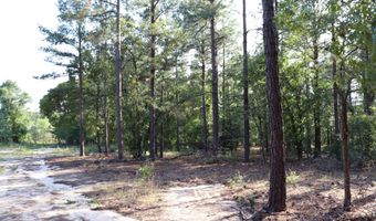 2631 Charlie Johnson Rd, Bethune, SC 29009
