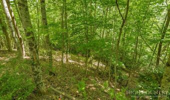 Daisy Ridge Road lot 36, Banner Elk, NC 28604