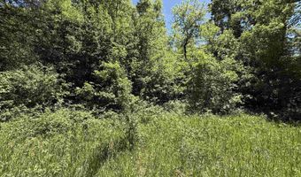 ARROWHEAD ROAD lot 16, Amherst Junction, WI 54407