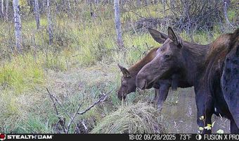 Tract A, Anaconda, MT 59711