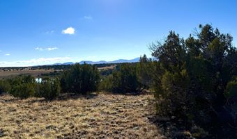 CR 8637 Lot # 210, Concho, AZ 85924