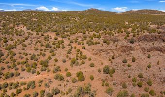 4240 W Cienega Dr, Ash Fork, AZ 86320