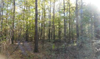 E-S Drive, Braxton, MS 39044