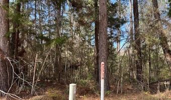 Conecuh River Church Rd, Andalusia, AL 36420