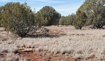 00- C N Dunbar Blvd, Ash Fork, AZ 86320