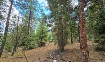 13559 Sparrow Dr, Bonanza, OR 97623