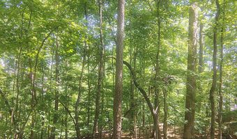 138 Stooksbury Ln, Andersonville, TN 37705