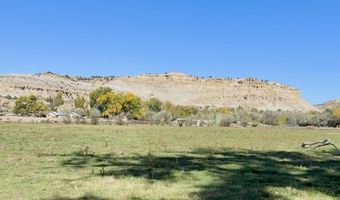 ROAD 4599, Blanco, NM 87412