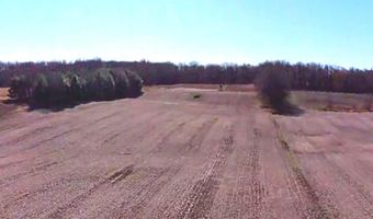 E Metz Road, Angola, IN 46703