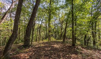 23 59 Ac Chestnut Flats Rd, Andrews, NC 28901