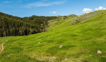 74 Blacktooth Rd, Big Horn, WY 82833