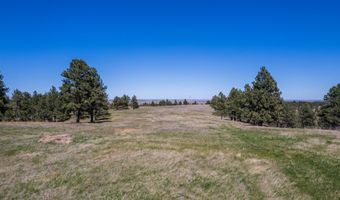 10504 Windmill Ridge Ln, Belle Fourche, SD 57717