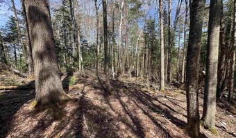 Prospect Street, Bethlehem, NH 03574