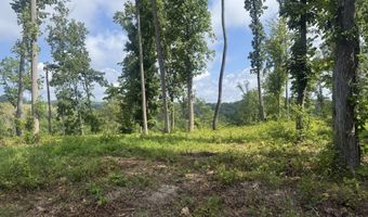 Tract 2 Mill Creek Rd, Andersonville, TN 37705