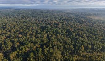 0 Lloyd Mill Rd, Andalusia, AL 36421