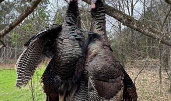 1037 Cr 300, Big Creek, MS 38914