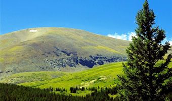211 GOLDFINCH Pl, Alma, CO 80420