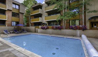 1020 E Hopkins Ave 9, Aspen, CO 81611