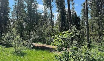 1597 Annies Lndg, Ashton, ID 83420