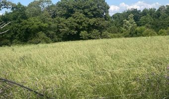 19 27 Acres County Road 656, Anderson, AL 35610