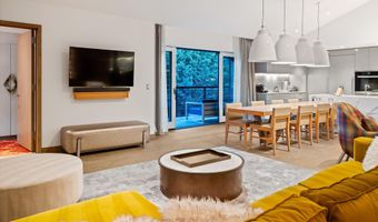 550 S Spring St F10 1-10, Aspen, CO 81611