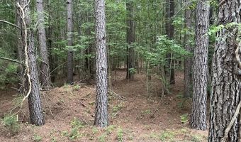 17-39 A Wendy Lane St, Amelia, VA 23002