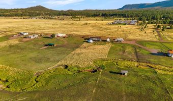 53 Co Rd 2092, Alpine, AZ 85920