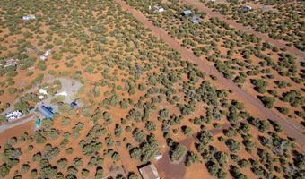 233 Co, Concho, AZ 85924