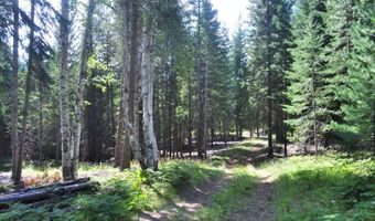 Nna 196 Acres Hwy 95, Bonners Ferry, ID 83805