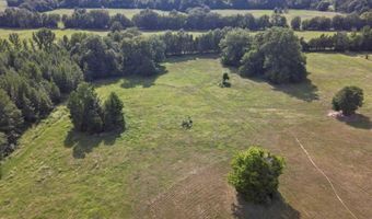 2053 CR 4314, De Kalb, TX 75559