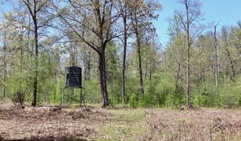 La Grant Road, Alger, MI 48610