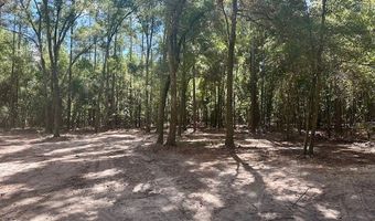 SW 20th St, Bell, FL 32619