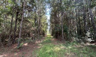 3951 MS-42, Bassfield, MS 39421